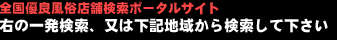 �f���w�������G�X�e����