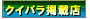 �N�C�p���f�ړX����